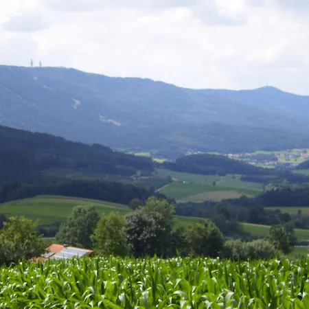 Hotel Schamberger