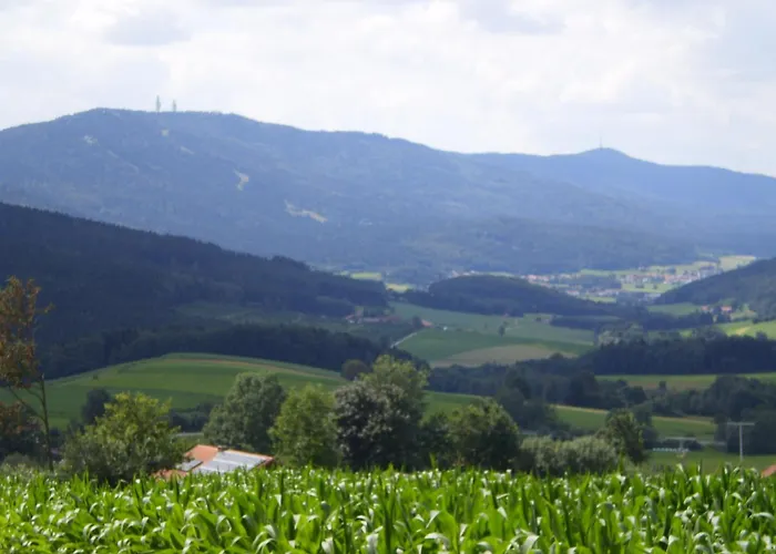 Hotel Schamberger