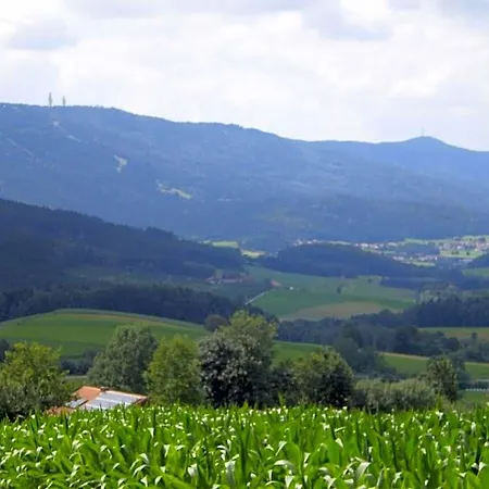 Schamberger Hotel 2*